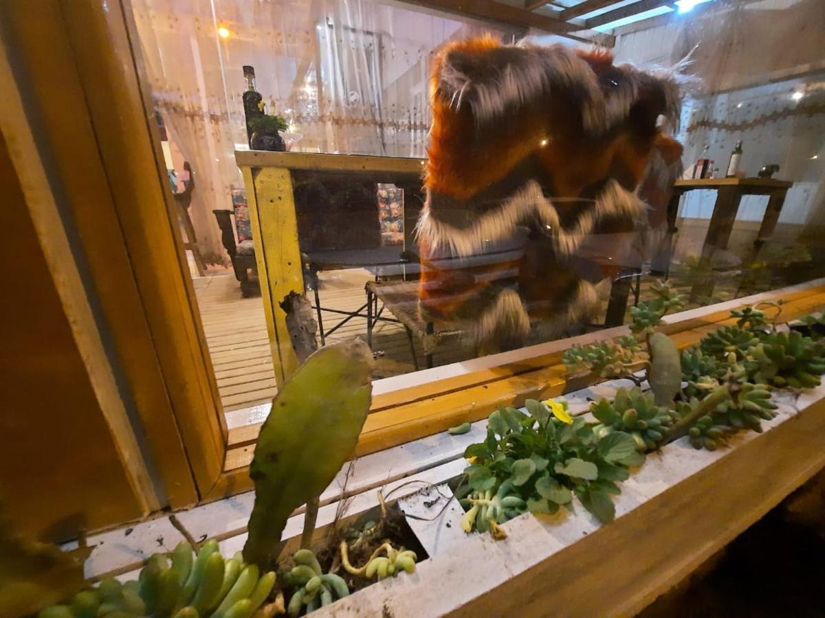 Pousada Vitrine Cambará Exteriör bild
